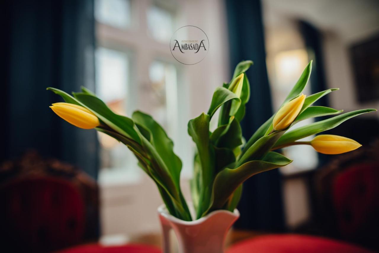 Apartament Ambasada Замостя Екстер'єр фото
